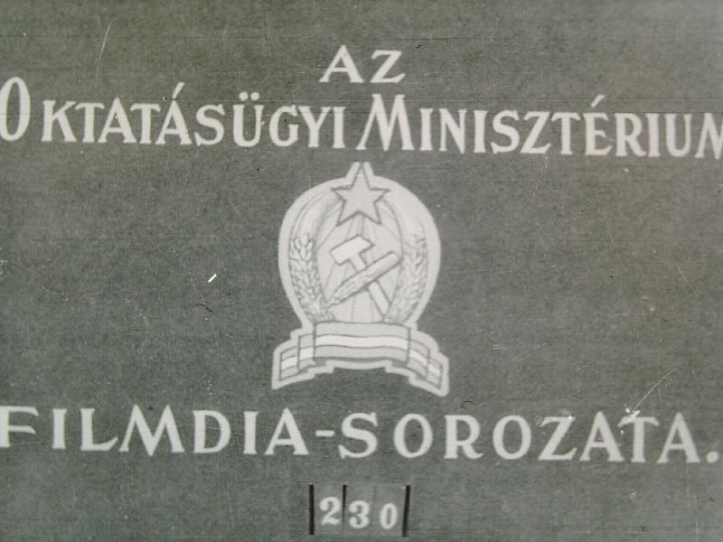 A Meteorológiai Intézet jelenti... 